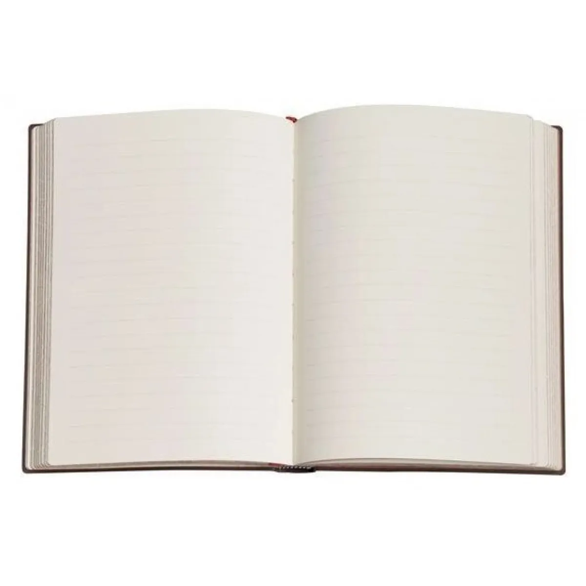 Notes na linije TREE OF LIFE - | Knjižare Vulkan