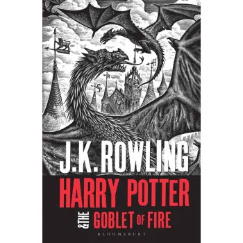 HARRY POTTER AND THE GOBLET OF FIRE adult 