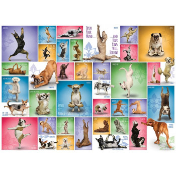 Puzzle YOGA DOGS 1000kom 