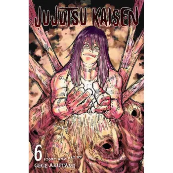 JUJUTSU KAISEN, VOL. 6 