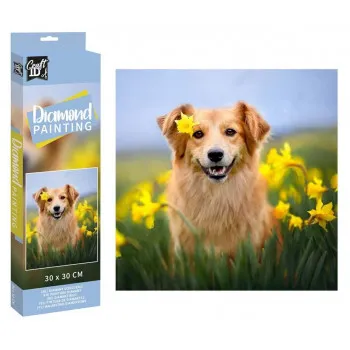 Slikanje cirkonima DIAMOND PAINTING 30x30 cm Pas 