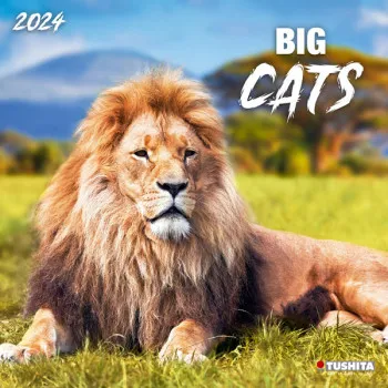 Zidni kalendar BIG CATS (NEU) 2024 