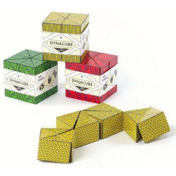 IQ mozgalica DYNACUBE (Više vrsta) 
