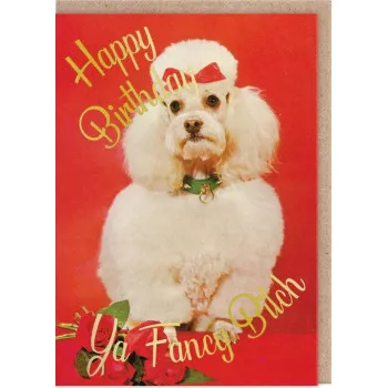 Rođendanska čestitka YA FANCY BITCH 