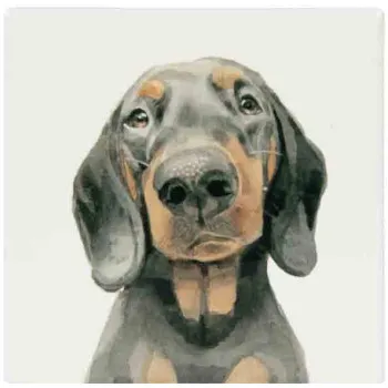 Podmetač JAZAVIČAR 