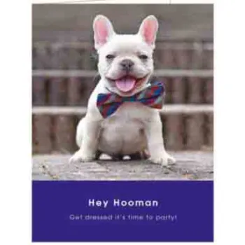 Čestitka FRENCH BULLDOG PARTY 