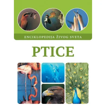 PTICE 