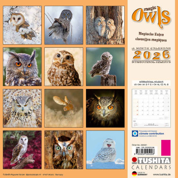 Zidni kalendar 2026 MAGIC OWLS 
