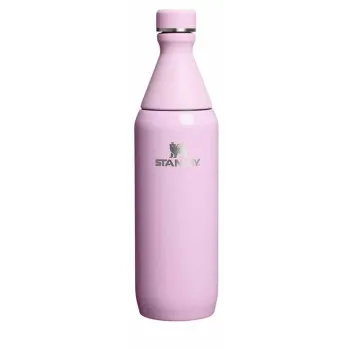STANLEY ALL DAY SLIM flaša 0.6L CHERRY BLOSSOM GLOSS 