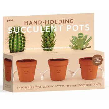 Set tri saksije HAND HOLDING SUCCULENT POTS 