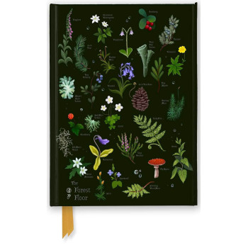 Notes ANNA STEAD: The Forest Floor 