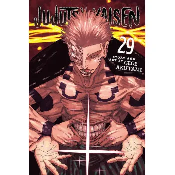 JUJUTSU KAISEN, VOL. 29 