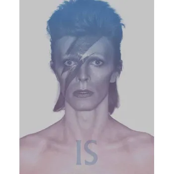 DAVID BOWIE IS