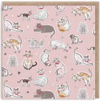 Čestitka CATS MINI SQUARE 