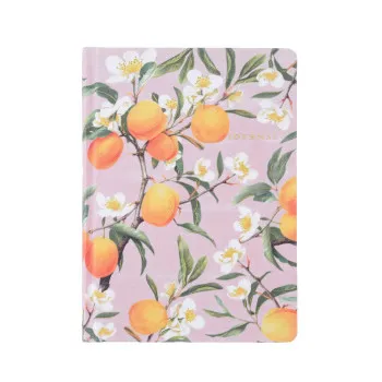Victoria's Journals notes A5 SMYTH PEACHES 