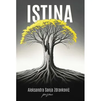 ISTINA 