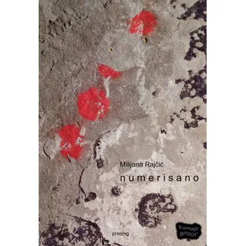 NUMERISANO 