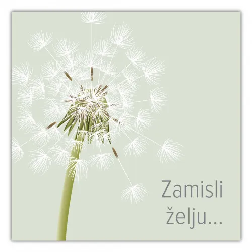 E-Gift kartica ZAMISLI ŽELJU 3000