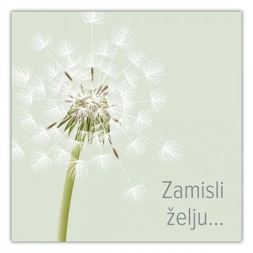 E-Gift kartica ZAMISLI ŽELJU 5000