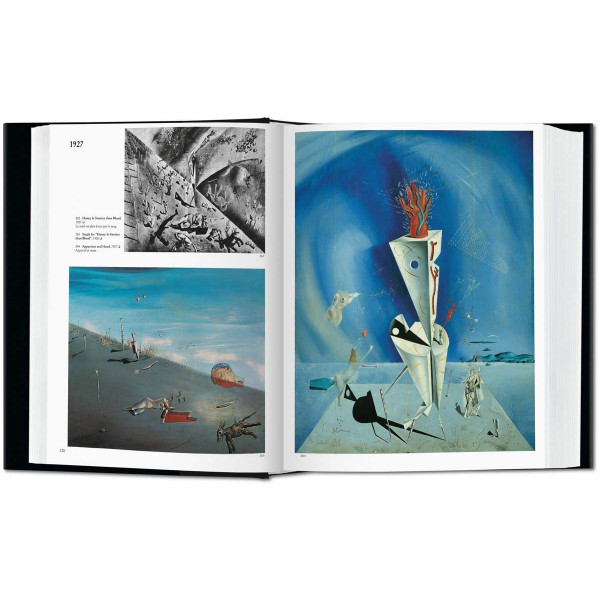 SALVADOR DALI THE PAINTINGS 