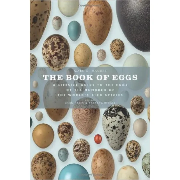 BOOK OF EGGS 