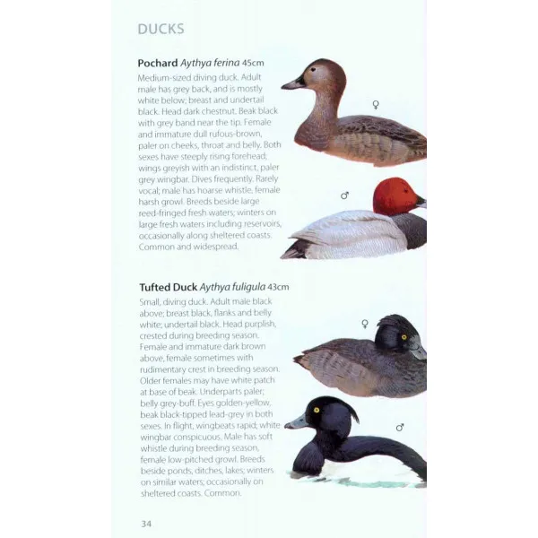 Green Guide to Birds Of Britain And Europe 