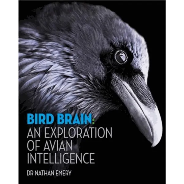 BIRD BRAIN An exploration of avian intelligence 