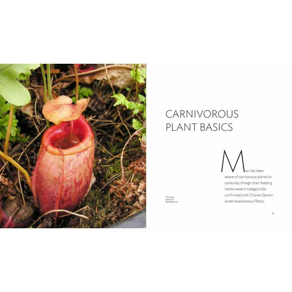 CARNIVOROUS PLANTS 