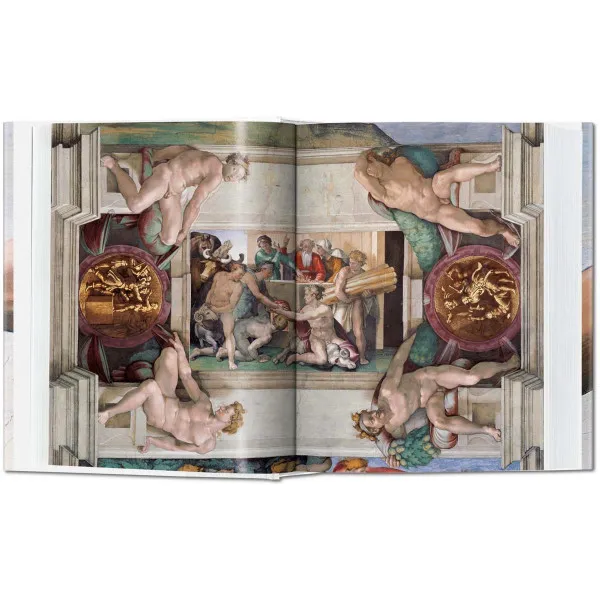 MICHELANGELO The Complete Paintings Sculptures and Architecture 