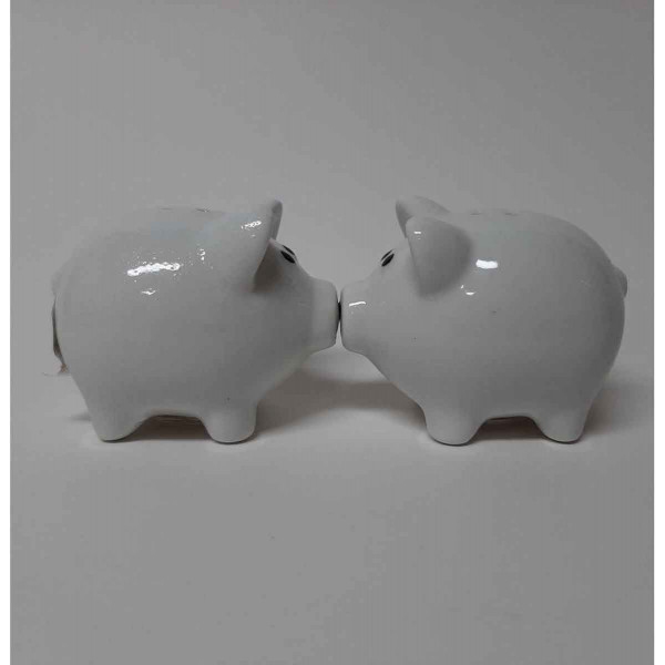 Zaljubljeni SLANICI sa magnetom 