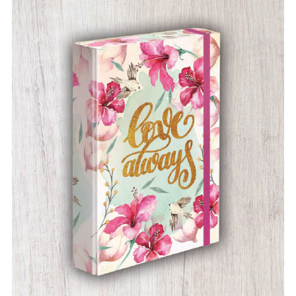 Fascikla DREAM A4 tvrdi povez 3cm 