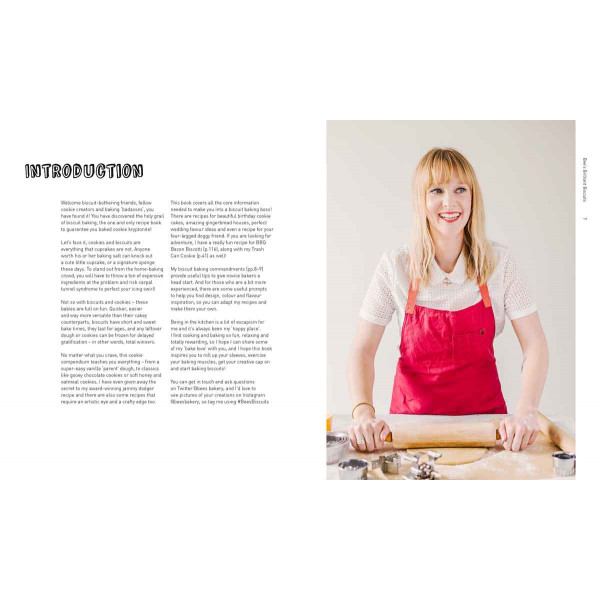 BEES BRILLIANT BISCUITS 