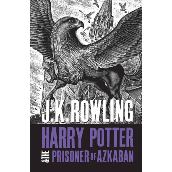 HARRY POTTER AND THE PRISONER OF AZKABAN adult 