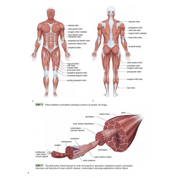 OSNOVE TRENINGA SNAGE I KONDICIONOG TRENINGA 4. izdanje 