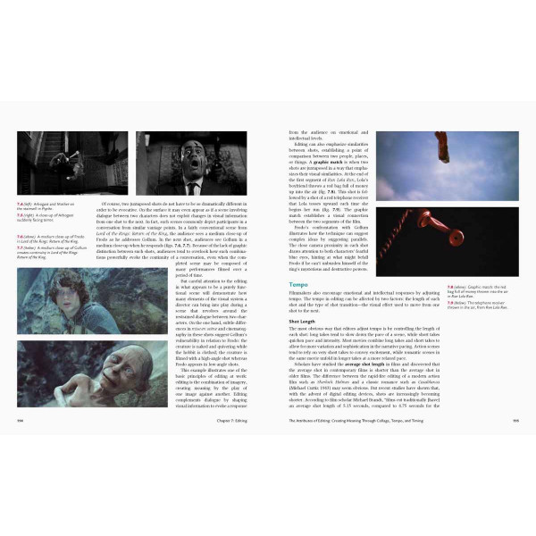 FILM: A CRITICAL INTRODUCTION 