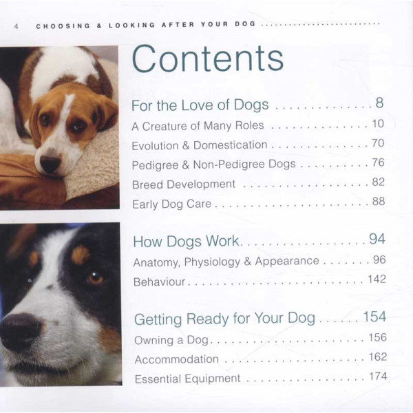 CHOOSING AND LOOKING AFTER YOUR DOG 