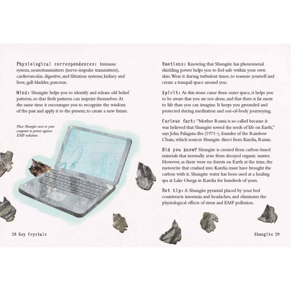 THE LITTLE CRYSTAL KIT 