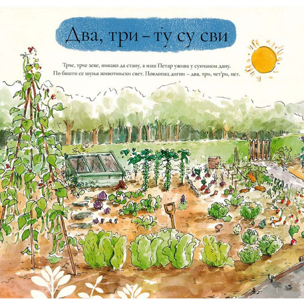 SLIKOVNICA SKRIVALICA Šta vidiš Petre? 