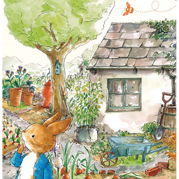 SLIKOVNICA SKRIVALICA Šta vidiš Petre? 