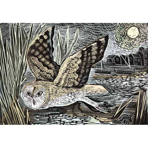 Puzzle ANGELA HARDING Marsh Owl (1000) 