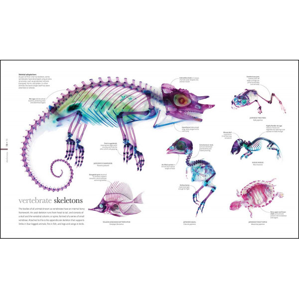 THE SCIENCE OF ANIMALS 