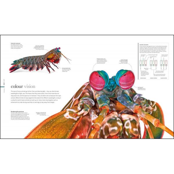 THE SCIENCE OF ANIMALS 