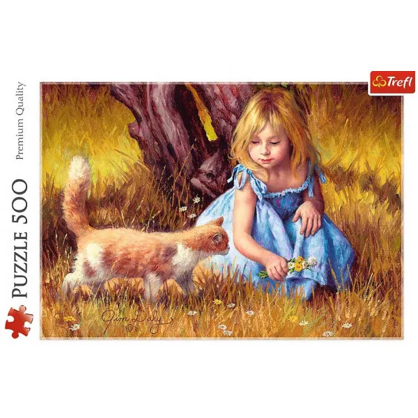 PUZZLE 500 - IN THE CENTER OF ATTENTION 