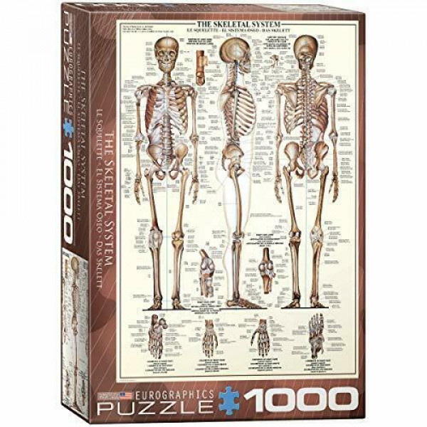Puzzle THE SKELETAL SYSTEM 1000kom 