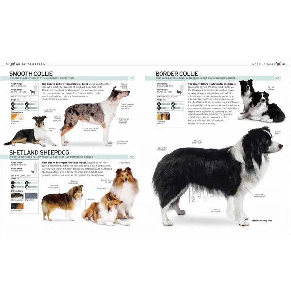 THE COMPLETE DOG BREED 