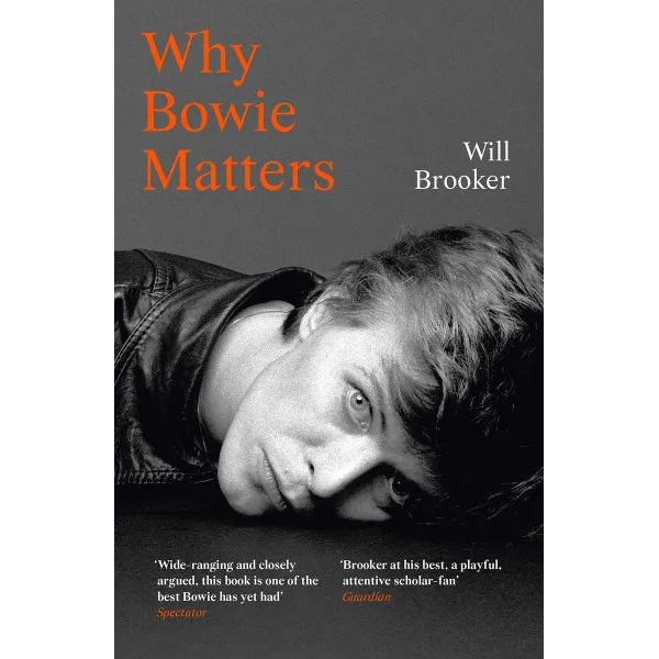 WHY BOWIE MATTERS 