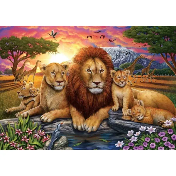 Puzzle LION FAMILY - 1000 kom 