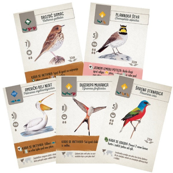 Društvena igra WINGSPAN 