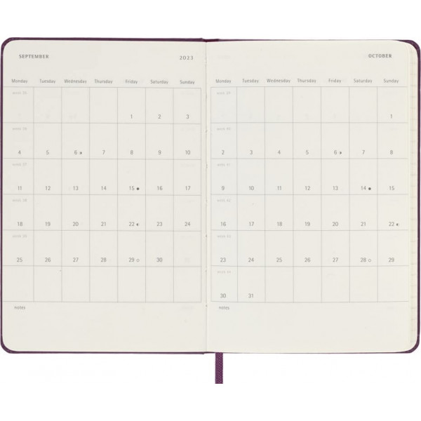 Agenda za 2023 - MALI PRINC 