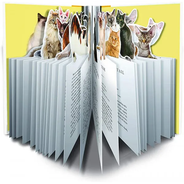 THE CAT PAPERSCRAPERS 